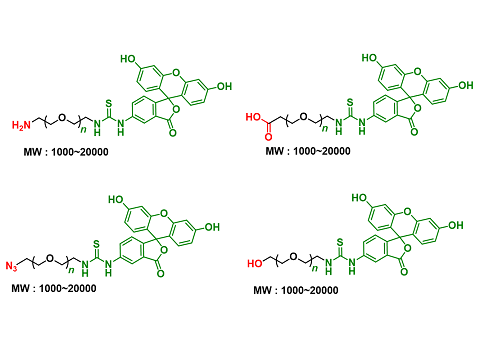 Fluorescein-PEG (MW: 1000~20000)